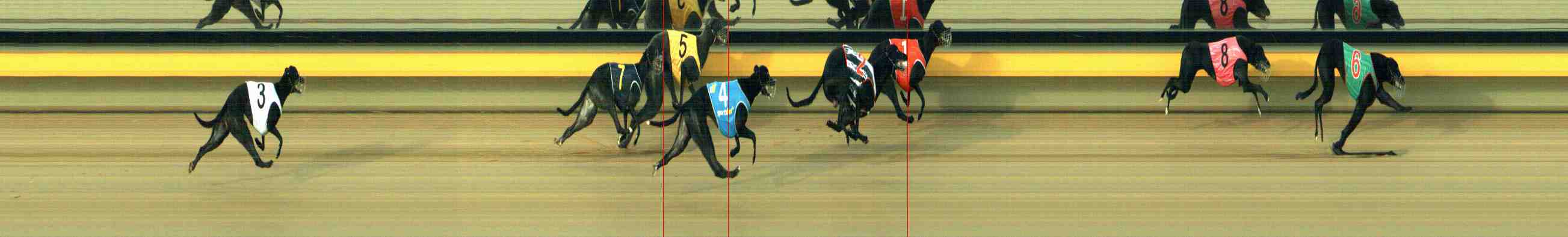Photo finish for Horsham Race 3