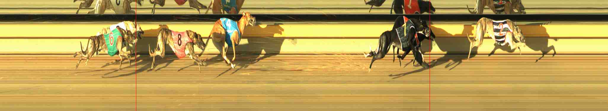 Photo finish for Horsham Race 5