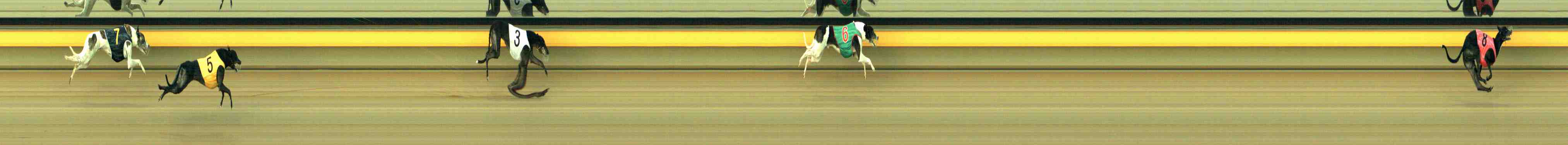 Photo finish for Horsham Race 6