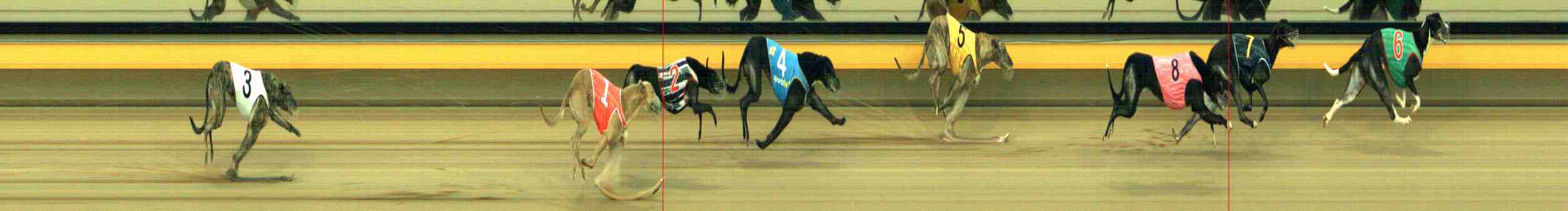 Photo finish for Horsham Race 7