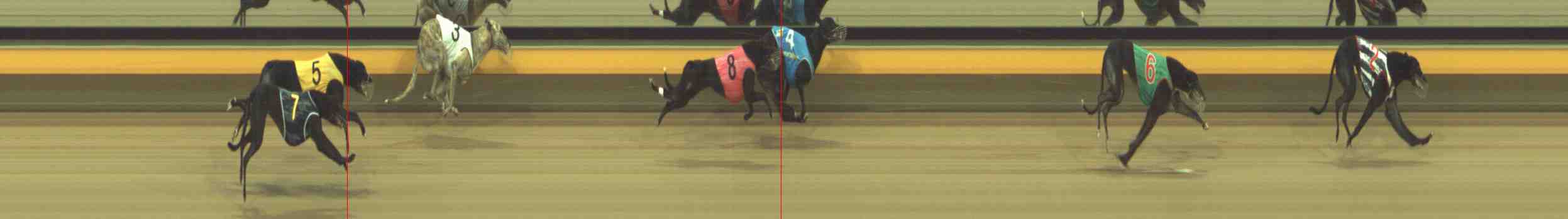 Photo finish for Horsham Race 8