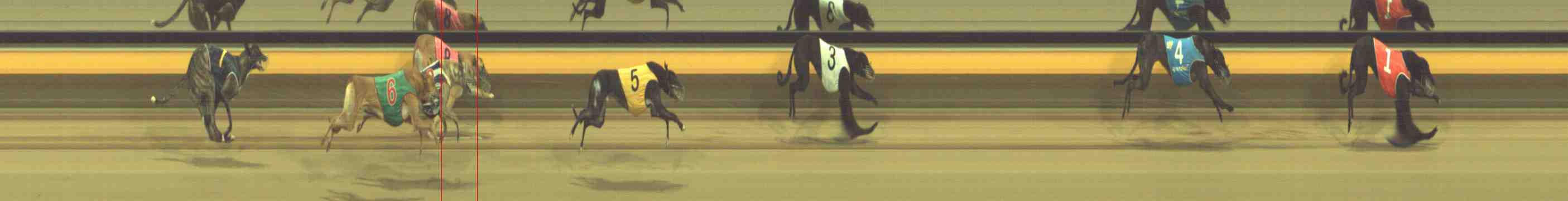 Photo finish for Horsham Race 9
