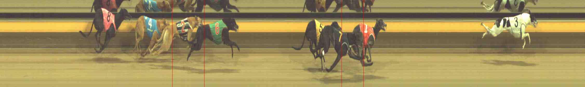 Photo finish for Horsham Race 10