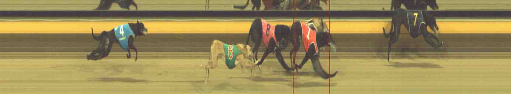Photo finish for Horsham Race 11