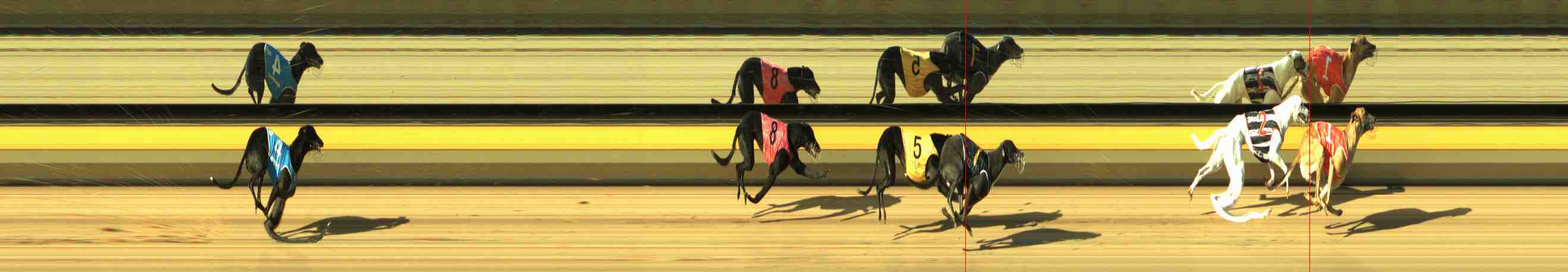 Photo finish for Horsham Race 1