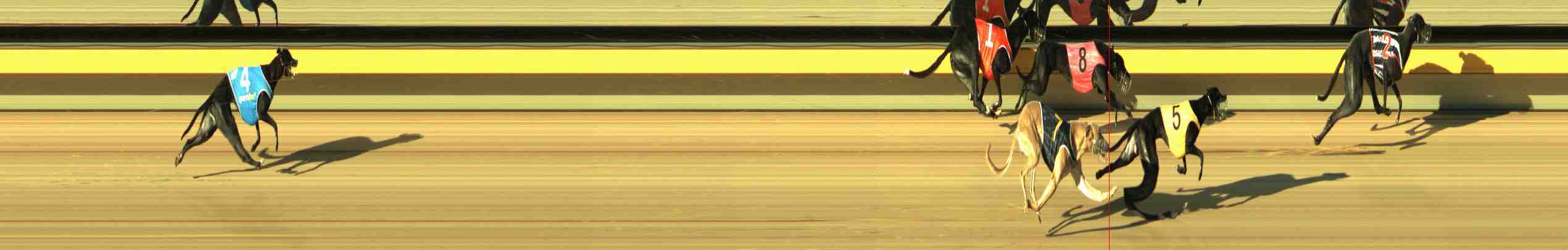 Photo finish for Horsham Race 2