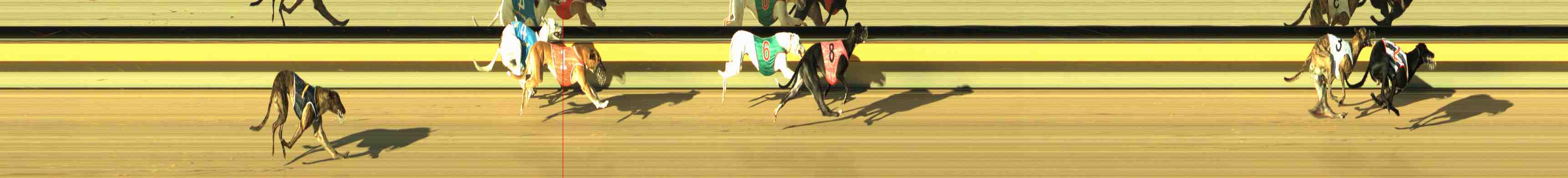Photo finish for Horsham Race 3