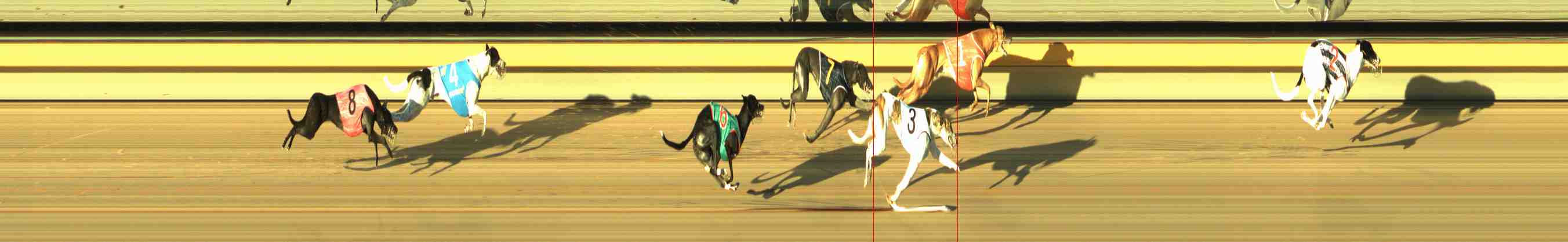 Photo finish for Horsham Race 4