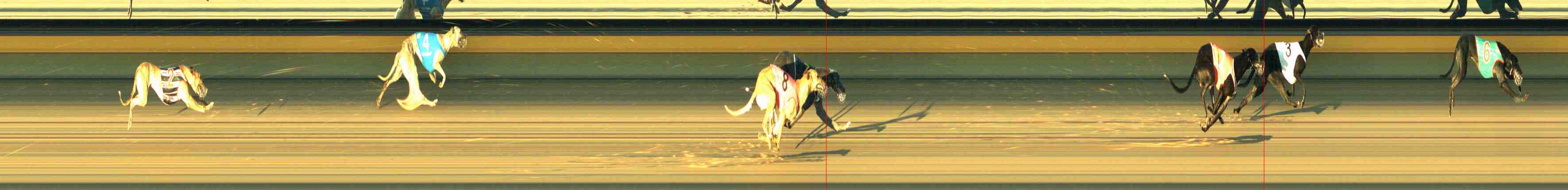 Photo finish for Horsham Race 6