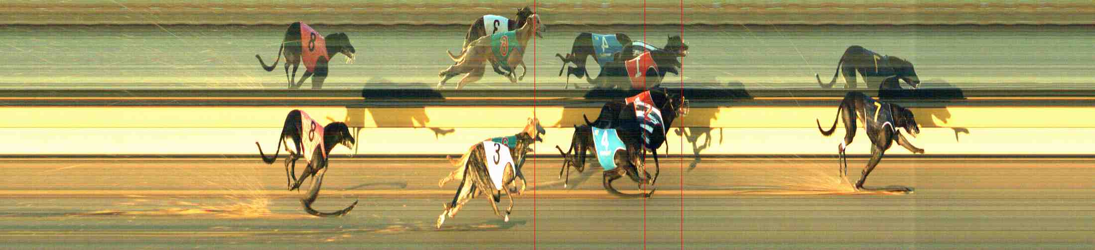 Photo finish for Horsham Race 7