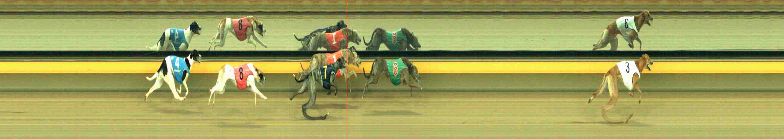 Photo finish for Horsham Race 8