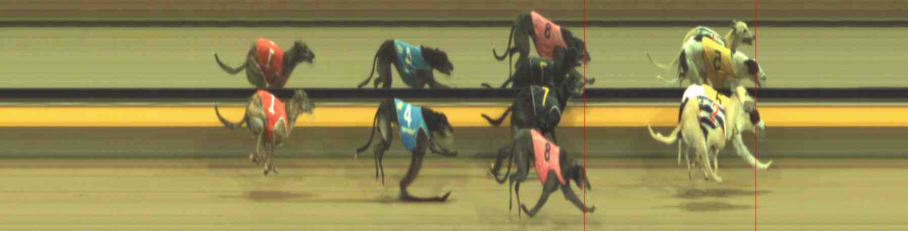 Photo finish for Horsham Race 9