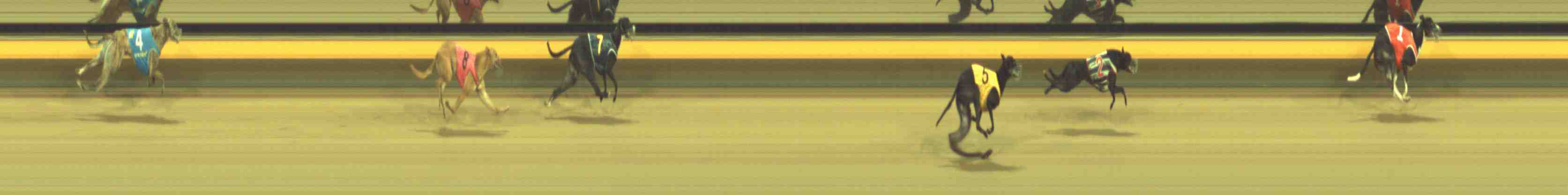 Photo finish for Horsham Race 10