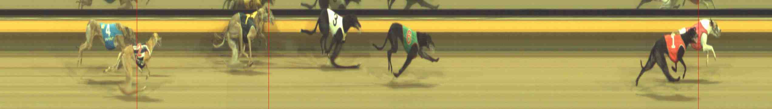 Photo finish for Horsham Race 11