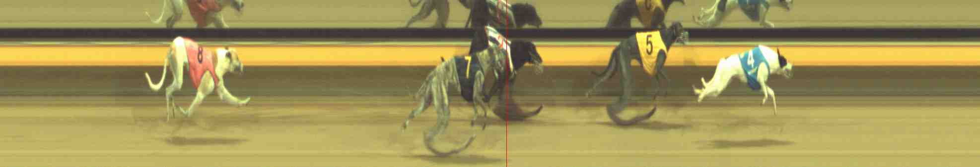 Photo finish for Horsham Race 12