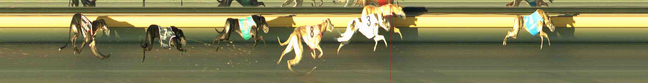 Photo finish for Horsham Race 5
