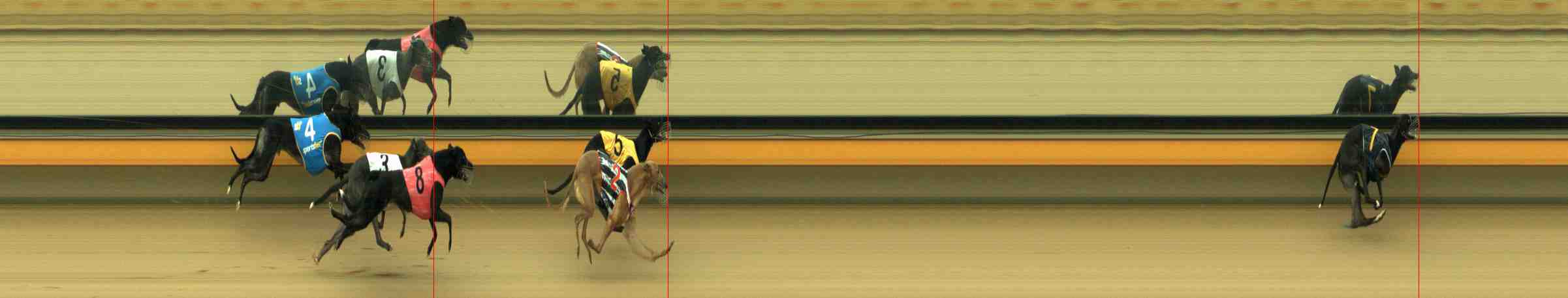 Photo finish for Horsham Race 1