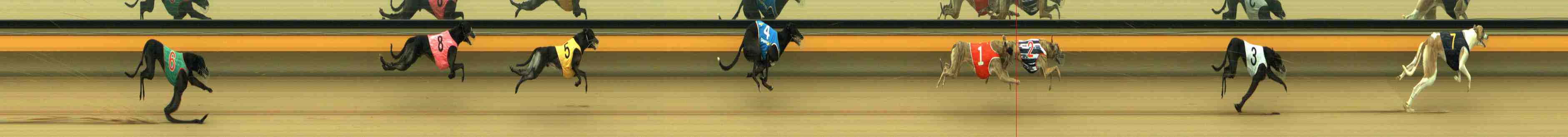 Photo finish for Horsham Race 2