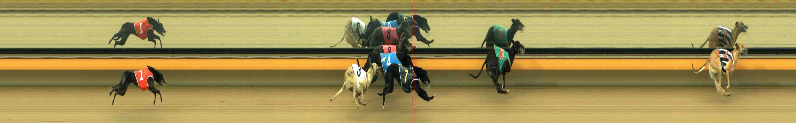 Photo finish for Horsham Race 3