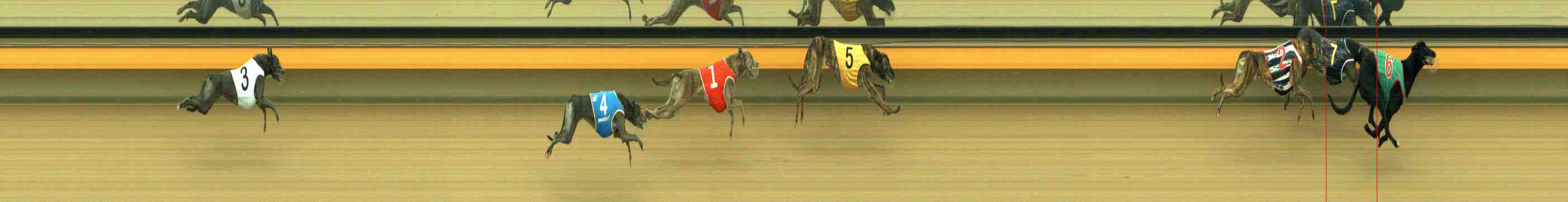Photo finish for Horsham Race 4