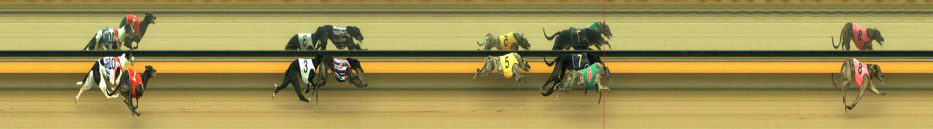 Photo finish for Horsham Race 5