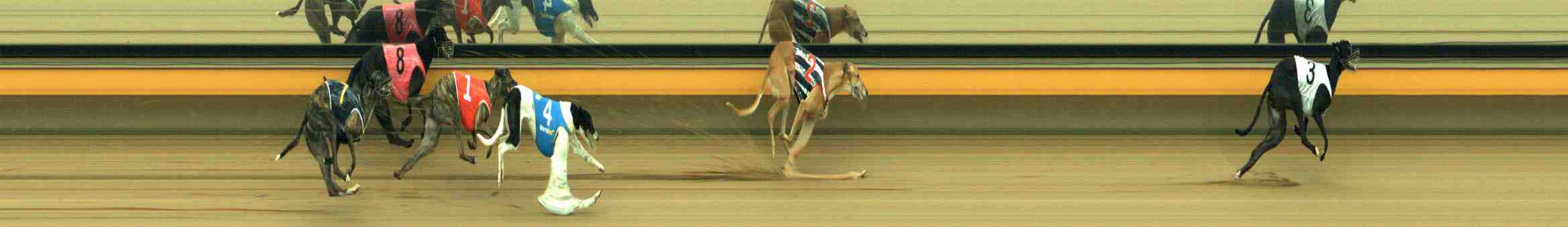 Photo finish for Horsham Race 6