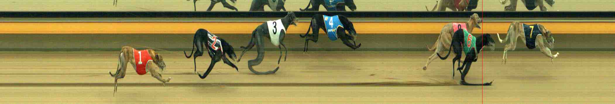 Photo finish for Horsham Race 7