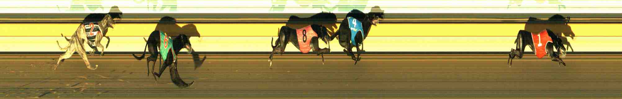 Photo finish for Horsham Race 1
