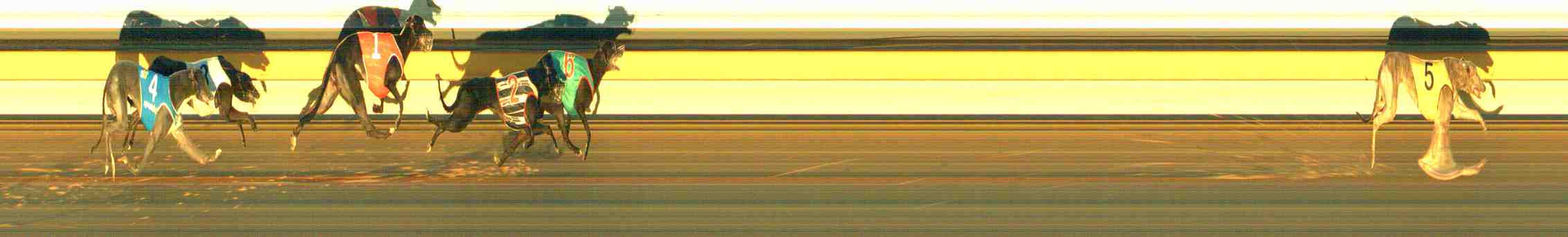 Photo finish for Horsham Race 2