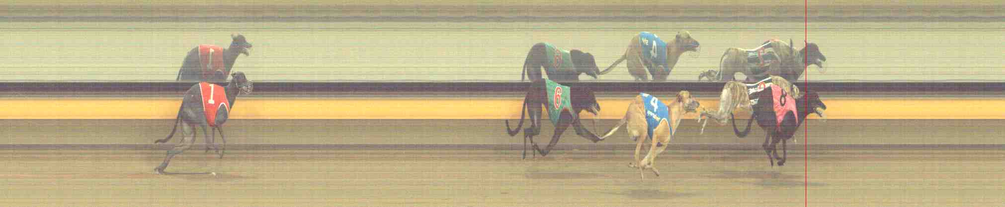 Photo finish for Horsham Race 3