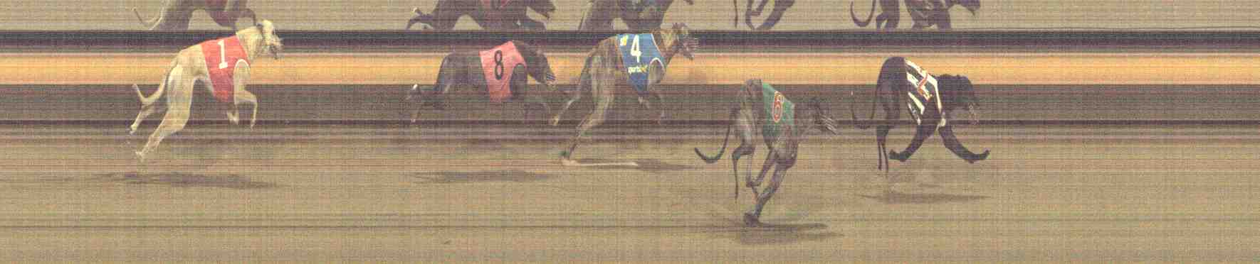 Photo finish for Horsham Race 4