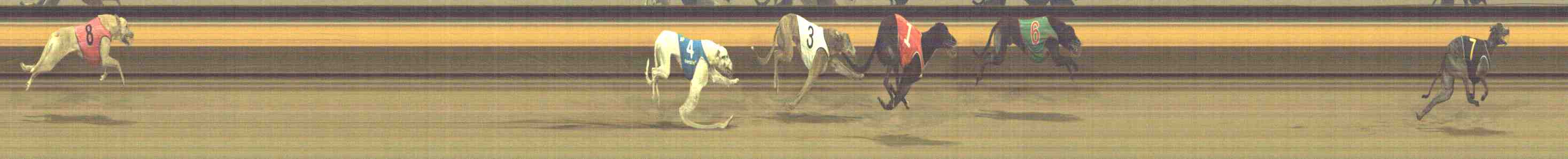 Photo finish for Horsham Race 5