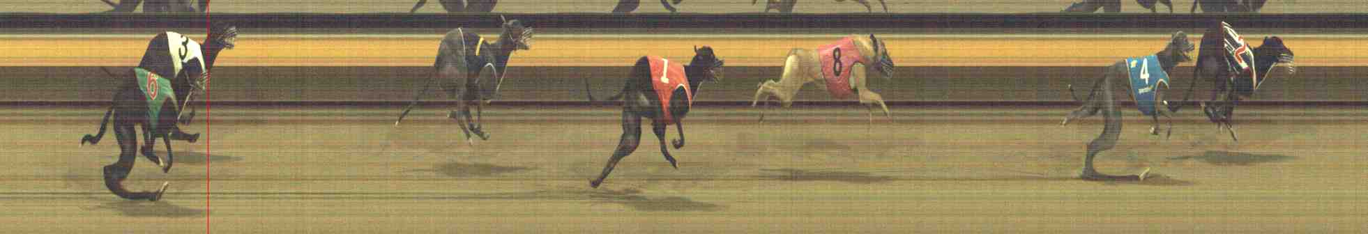 Photo finish for Horsham Race 6