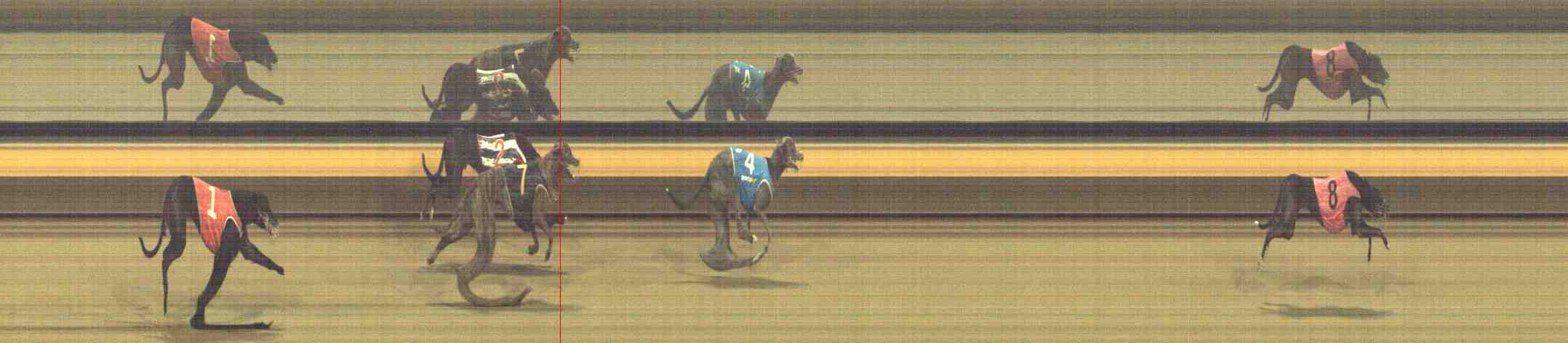 Photo finish for Horsham Race 7