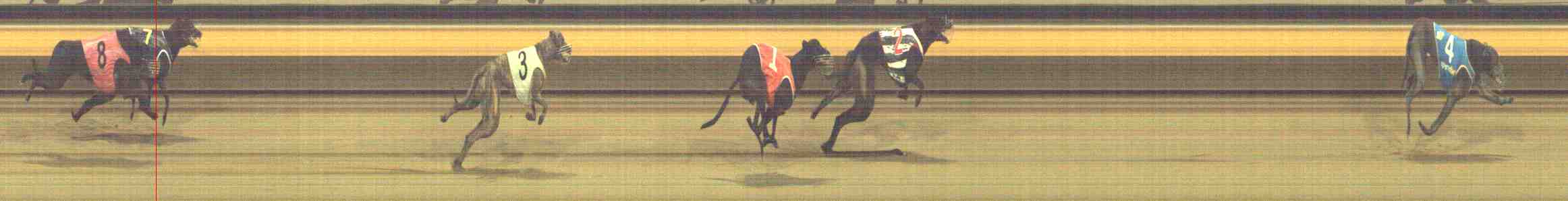Photo finish for Horsham Race 8