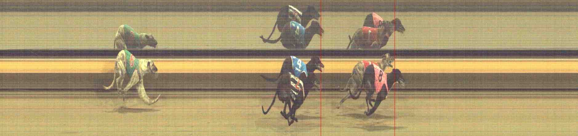 Photo finish for Horsham Race 9