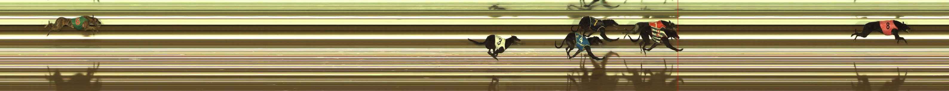 Photo finish for Meadows (MEP) Race 1