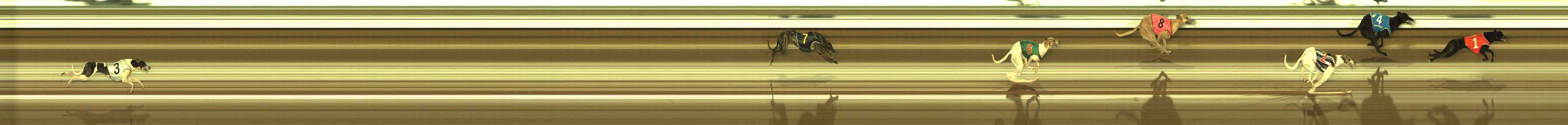 Photo finish for Meadows (MEP) Race 2