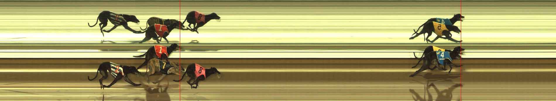 Photo finish for Meadows (MEP) Race 6