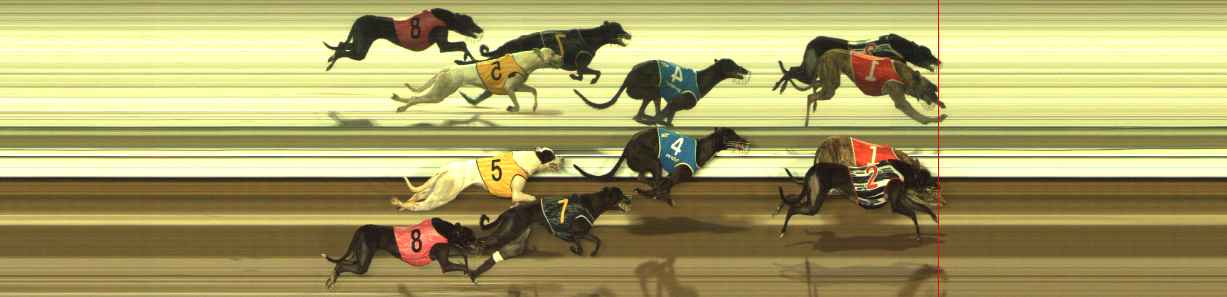 Photo finish for Meadows (MEP) Race 7