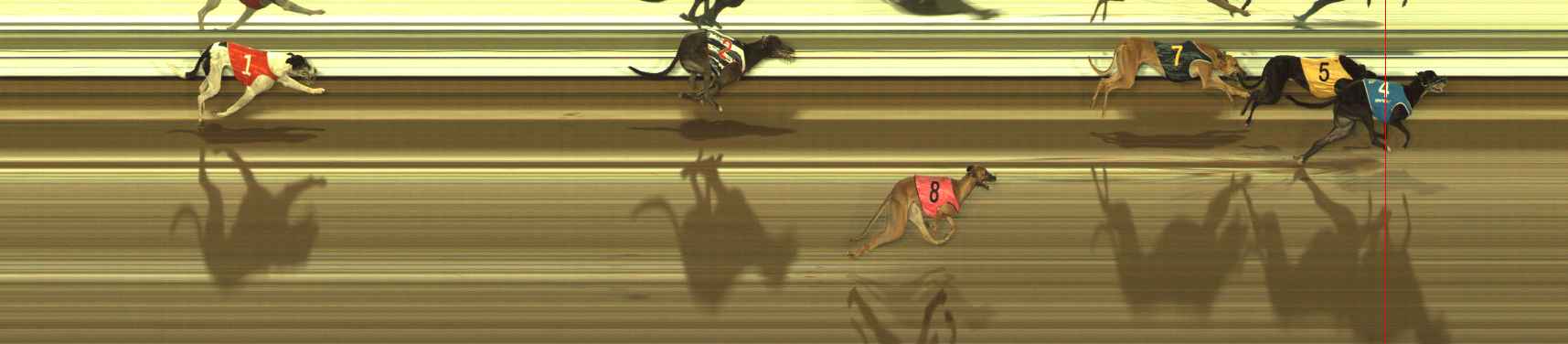 Photo finish for Meadows (MEP) Race 8