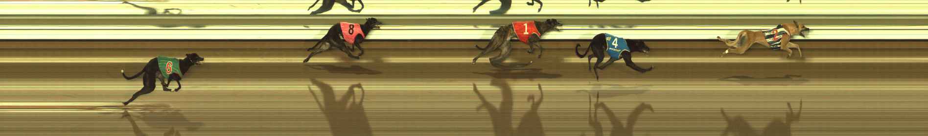 Photo finish for Meadows (MEP) Race 9