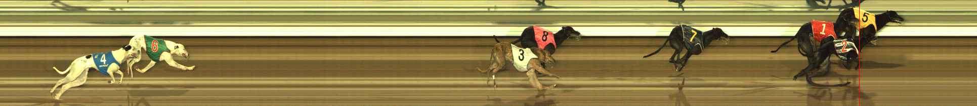 Photo finish for The Meadows Race 2