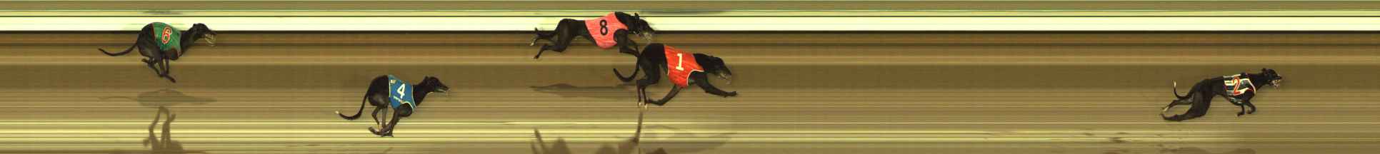 Photo finish for The Meadows Race 3