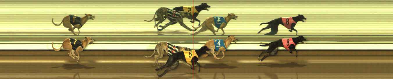 Photo finish for The Meadows Race 4