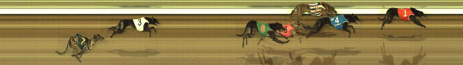 Photo finish for The Meadows Race 5