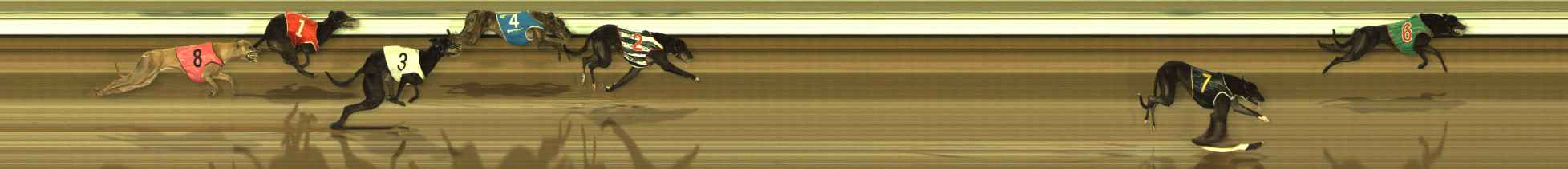 Photo finish for The Meadows Race 6