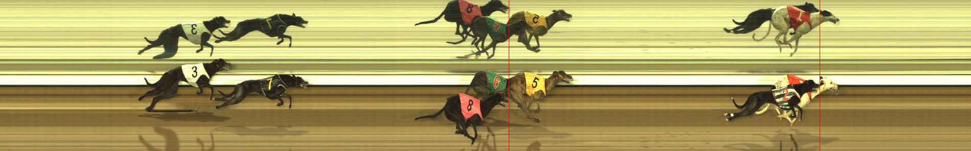 Photo finish for The Meadows Race 8