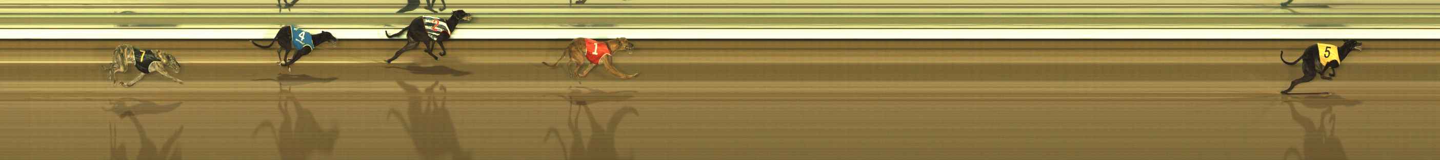 Photo finish for The Meadows Race 2
