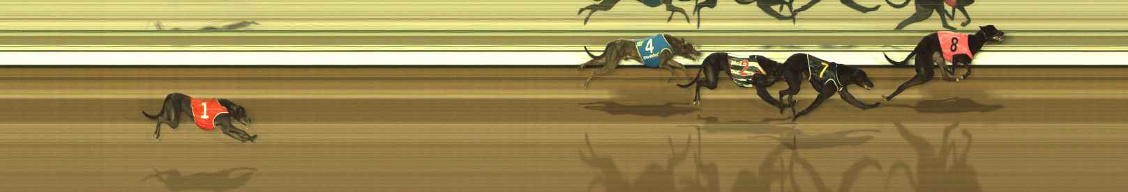 Photo finish for The Meadows Race 3